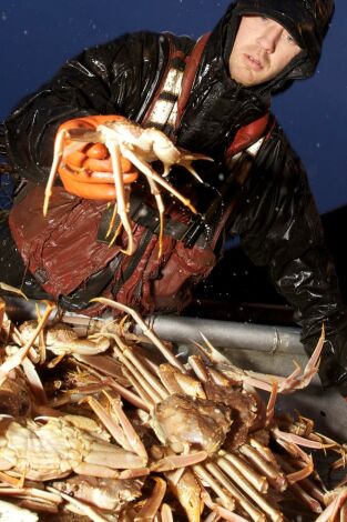Pesca Radical: Líderes sin miedo Pesca Radical: Líderes sin miedo