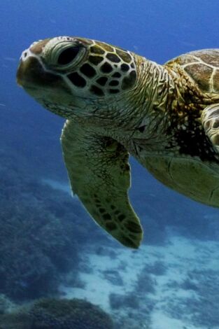 Islas Secretas de Australia Islas Secretas de Australia
