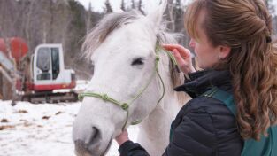 Una veterinaria todoterreno: Nada de patalear Una veterinaria todoterreno: Nada de patalear