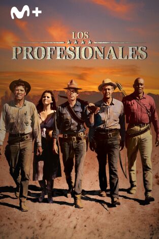 Los profesionales Los profesionales
