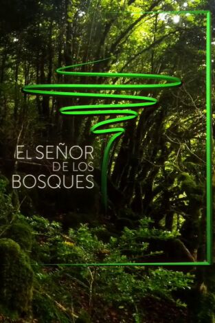 El señor de los bosques: Las juntas del valle de Iruelas