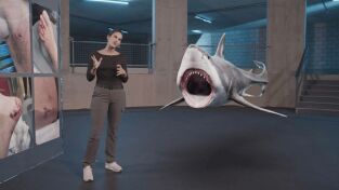 Ataque de tiburón 360: Sangre en el agua