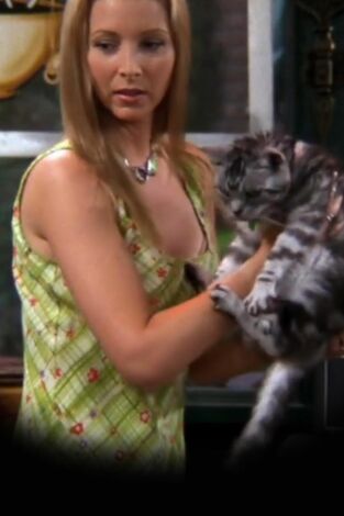Friends (T4): Ep.2 El de la gata Friends (T4): Ep.2 El de la gata