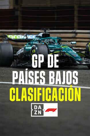Mundial F1 - GP de Países Bajos (T2025): Clasificación Mundial F1 - GP de Países Bajos (T2025): Clasificación