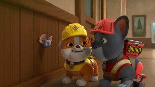 Equipo Rubble (T1): Ep.3 El equipo construye una heladería/ El equipo encuentra un ratón Equipo Rubble (T1): Ep.3 El equipo construye una heladería/ El equipo encuentra un ratón
