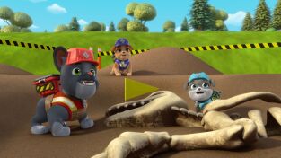 Equipo Rubble (T1): Ep.13 El equipo construye un museo de dinosaurios / El equipo construye una rampa para sillas de ruedas Equipo Rubble (T1): Ep.13 El equipo construye un museo de dinosaurios / El equipo construye una rampa para sillas de ruedas