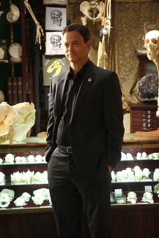 C.S.I. NY (T4): Ep.9 Una boda y un funeral C.S.I. NY (T4): Ep.9 Una boda y un funeral