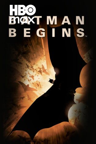 Batman Begins Batman Begins