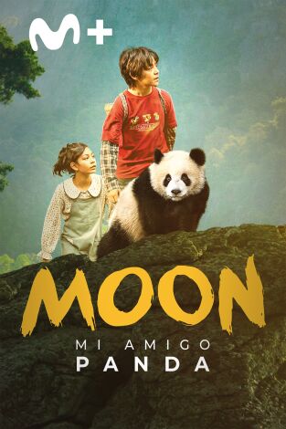 Moon, mi amigo panda