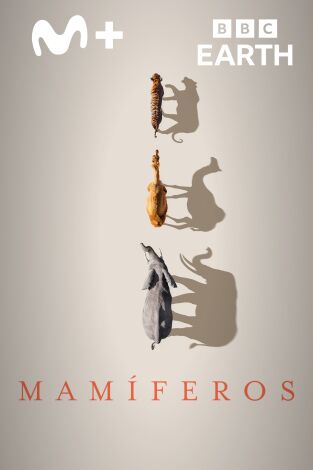 Mamíferos