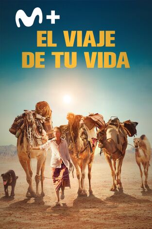 El viaje de tu vida El viaje de tu vida