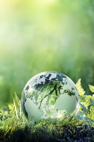La Bataille pour la forêt La Bataille pour la forêt