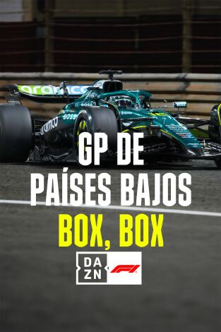 Mundial F1 - GP de Países Bajos (T2025): Box, Box
