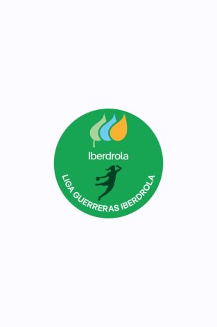 División de Honor de balonmano (F) (T25/26): Elda - Zonzamas