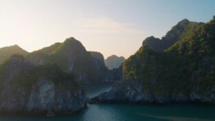Wild Vietnam: El sur tropical: tierra de agua Wild Vietnam: El sur tropical: tierra de agua