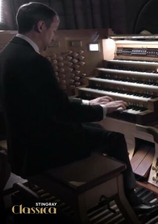 In the Organ's Stomach In the Organ's Stomach