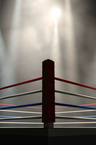 Boxeo: velada Bivol vs Broadhurst (T2017): Dmitry Bivol vs Trent Broadhurst