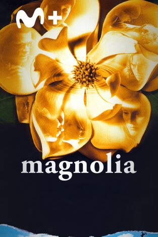 Magnolia