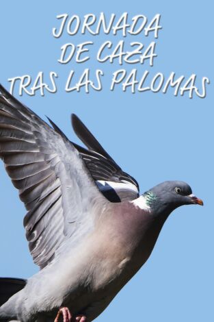 Jornada de caza tras las palomas Jornada de caza tras las palomas