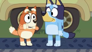 Bluey (T1): Ep.43 Acampada Bluey (T1): Ep.43 Acampada