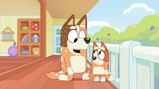 Bluey (T2): Ep.6 Bingo Bluey (T2): Ep.6 Bingo