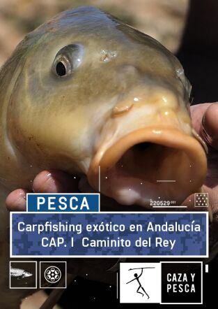 Carpfishing exótico en Andalucia: Conde de Guadalhorce Carpfishing exótico en Andalucia: Conde de Guadalhorce
