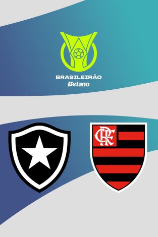 Brasileirao (T2025): Botafogo - Flamengo Brasileirao (T2025): Botafogo - Flamengo