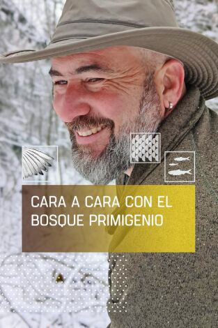 Cara a cara con el bosque primigenio Cara a cara con el bosque primigenio