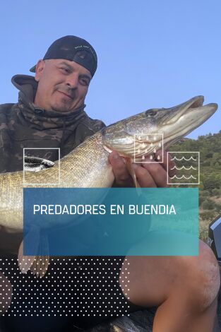 Predadores en Buendía Predadores en Buendía