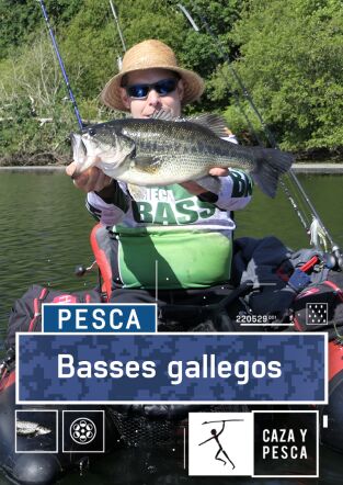 Basses gallegos Basses gallegos
