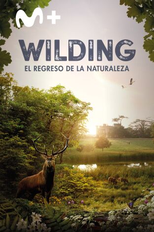 Wilding, el regreso de la naturaleza Wilding, el regreso de la naturaleza