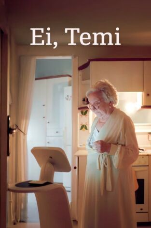 Ei, Temi Ei, Temi