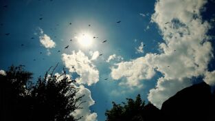 Desastre climático: Rayos Desastre climático: Rayos