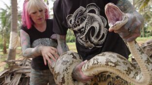 Serpientes en la ciudad: Una pitón monstruosa Serpientes en la ciudad: Una pitón monstruosa