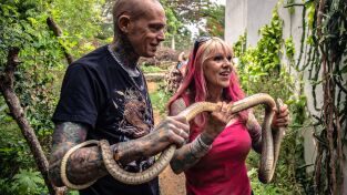 Serpientes en la ciudad: La cobra acuática Serpientes en la ciudad: La cobra acuática
