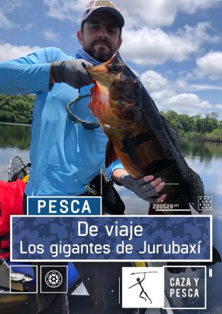 De Viaje: Los gigantes de Jurubaxí De Viaje: Los gigantes de Jurubaxí