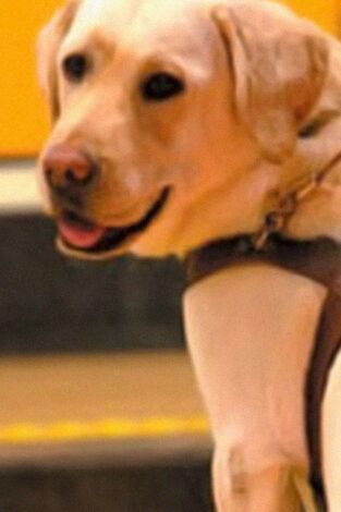 Instinto animal Instinto animal