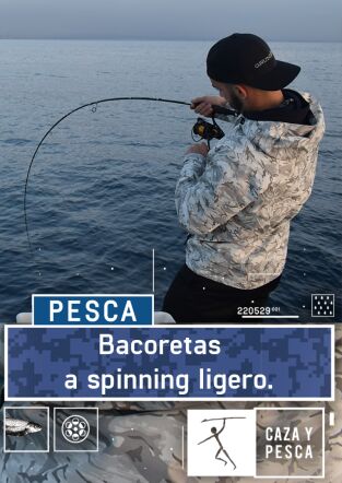 Bacoretas a spinning ligero Bacoretas a spinning ligero