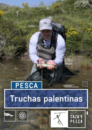 Truchas palentinas Truchas palentinas