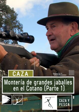 Montería de grandes jabalíes en el Cotano. 1ª parte Montería de grandes jabalíes en el Cotano. 1ª parte