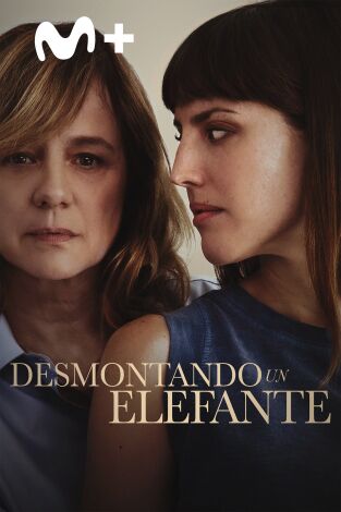 Desmontando un elefante Desmontando un elefante