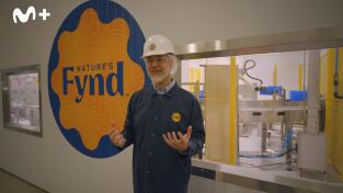 Alimentos irresistibles: Futuro Alimentos irresistibles: Futuro