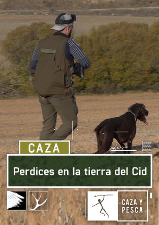 Perdices en la tierra del Cid Perdices en la tierra del Cid