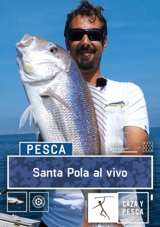 Santa Pola al vivo Santa Pola al vivo