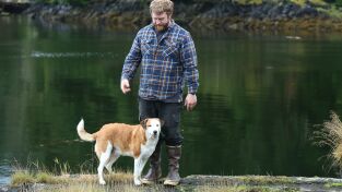 Vivir bajo cero: Port Protection Alaska: El espectáculo canino Vivir bajo cero: Port Protection Alaska: El espectáculo canino