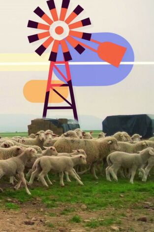 Maestr@s del campo Maestr@s del campo