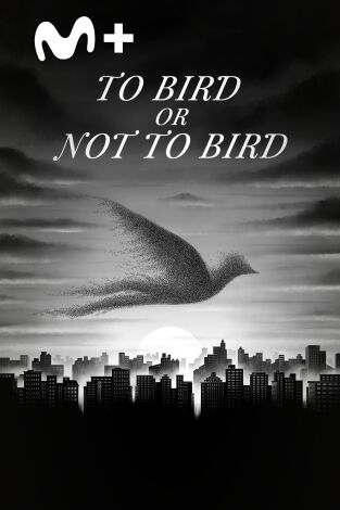 To Bird or Not To Bird