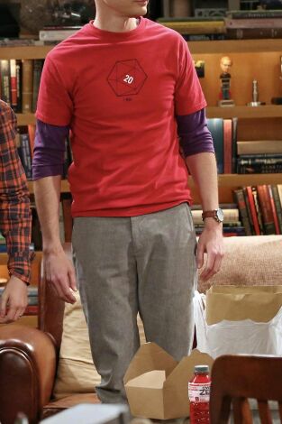 Big Bang (T7): Ep.24 La combustión del status quo