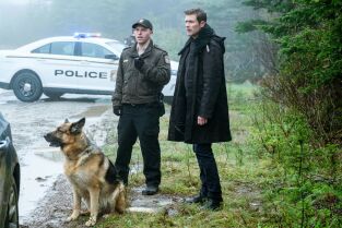 Hudson y Rex (T5): Ep.2 Sonado