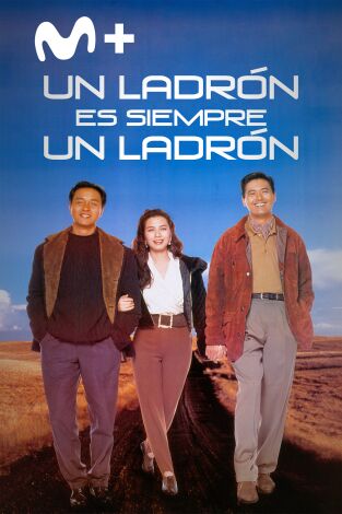 Un ladrón siempre es un ladrón